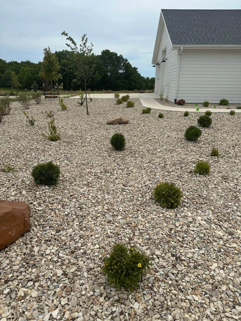 A minimalist yard features small green shrubs thoughtfully placed across gravel. To the right, a white building with a sloped roof stands. In the background, larger trees frame a paved area, all under an overcast sky—a testament to meticulous landscape maintenance.