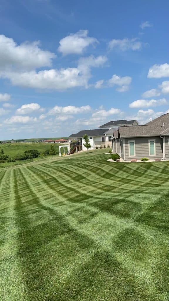 A neatly mowed lawn with diagonal patterns leads to a row of suburban houses under a blue sky with fluffy clouds. The landscaping reveals a large, open, green area extending into the distance.