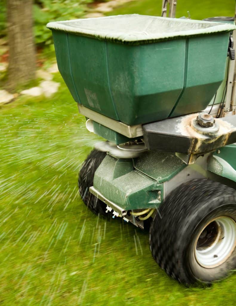 Close-up of a green lawn spreader dispensing fertilizer over grass. The machine's spinning mechanism actively throws material outward, combating weeds. The rear tires are visible as it moves across the lush lawn.