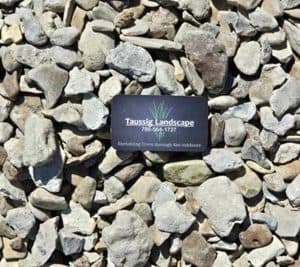A business card with "Taussig Landscape" rests on a bed of gray and tan stones, accented by brown colored mulch. The card includes a contact phone number and the words "Everlasting Line Stripes" and "GLO radiance.